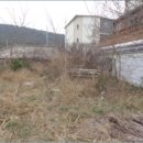 안흥초등학교신진도분교장 이미지