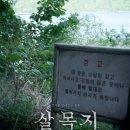 타임로드 | 살목지 영화 로드뷰 귀신 실화기반 괴담 영화 솔직후기