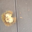 비로소 가을 이미지