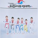 그린나래태권도 이미지