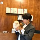 프리펫 강아지분양 고양이분양 천안본점 이미지