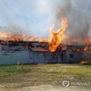 평창밧데리 이미지