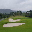 디아너스 이미지