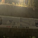 동메민박 | 알차고 알찬 남해 여행〰️🕶️🩵
