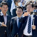 지성태양광발전소 이미지