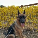 화합공원 이미지