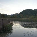 풍천펜션민박 이미지