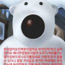 나 변기 막혀서 몇시간동안 울고있었ㄴ는데 페트병으로 뚫었어ㅠ 이미지