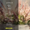 늦게 피는 꽃 이미지