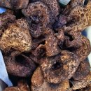 상촌 다목적광장 이미지