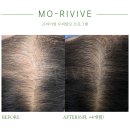 모리바이브리버스