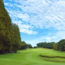 자유컨트리클럽 | 여주 자유cc 회원권 혜택 라운딩 후기