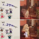 아람마트 이미지