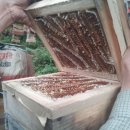 오영농장 이미지