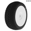 월드타이어 이미지