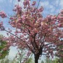 여섯번째 절기 곡우(穀雨). 이미지