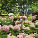 진양호공원(광장) | 진양호공원 수국 명소 총정리 진주 6월 가볼만한곳 걷기 좋은 꽃길