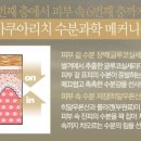 아쿠아뷰티