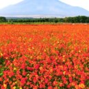 상순목장 이미지