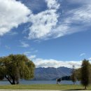 호수식당 | 뉴질랜드 남섬 와나카 호수 여행 후기 (Willow tree, 식당)