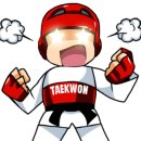 햇살태권도 이미지