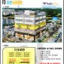 대평약국 이미지