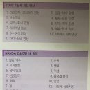 간호과정과비판적사고 이미지