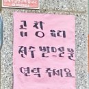 꿀꿀이왕십리곱창 이미지
