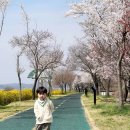 청아김밥 | [이천] 따뜻한 봄날, 아이와 함께한 이천 도자기 마을🍶🫖🍵 (예스파크) + 그릇 쇼핑 후기