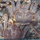 진우상사 이미지