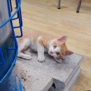 삼주공인중개사사무소 이미지