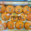 석화농장 이미지