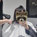 cu원주치악대로점 | 원주 볼륨매직 태슬컷 잘하는 반곡동 미용실 [언페이드 원주점]