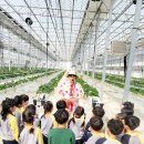 만승초교 병설유치원 이미지