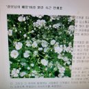 [전례, 그 능동적 참여] 성모 마리아의 믿음이 가져온 열매들 이미지