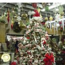 뉴욕의 <b>조이유</b> 노엘