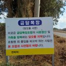 서문육거리 | 안덕면 당오름 (제주도 오름 34) : 입구를 찾기는 힘들어도 전망은 좋았던 오름