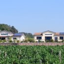 주식회사다솔 이미지