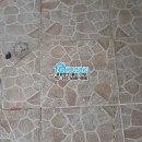 성호왁스 이미지