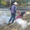 삼덕초등학교병설유치원 이미지