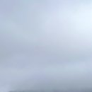 어린이대공원 이미지