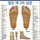 기 순환돕는 경락마사지 | 💆‍♀️ 림프 순환 마사지 + 경락 마사지, 부드럽지만 시원한 이유