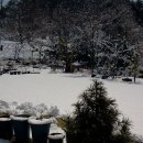 강아지 호텔 이미지