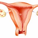 경희도림한의원 이미지