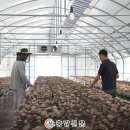 열매영농조합법인 이미지