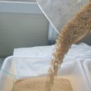 미네랄쌀 이미지