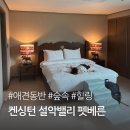 속초 켄싱턴 설악밸리 펫베른 애견동반 숙소 아기랑 숙박 후기