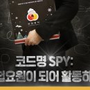 미스테리분식
