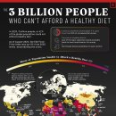 건강한 식단을 감당할 수 없는 30억 명의 사람들 이미지