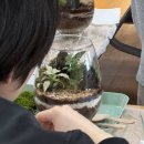 성인대상 힐링 도예교실 | 서울 청년 대상 봄맞이 테라리움 출강 비용은 얼마일까요 ?